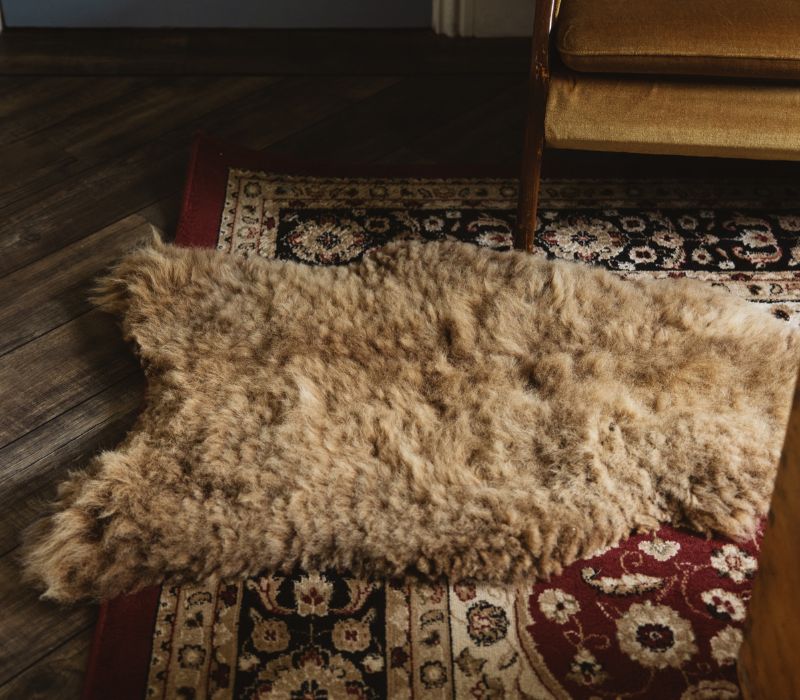 Manx Loaghtan Sheepskin Rug (Ramsey) - Tùs: Red Mie Farm