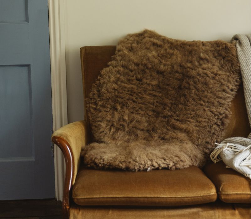 Manx Loaghtan Sheepskin Rug (Ramsey) - Tùs: Red Mie Farm