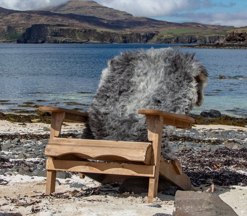 HERDWICK LARGE SHEEPSKIN RUG (TÙS - MILLBECK FARM)