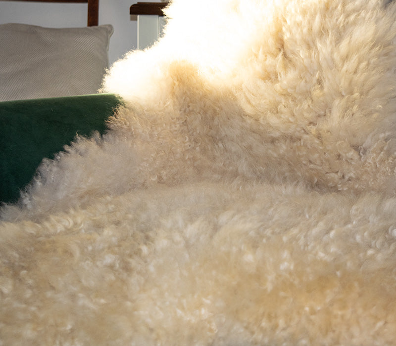 Gotland Curly White Sheepskin (Kenmore Farms) Extra Large