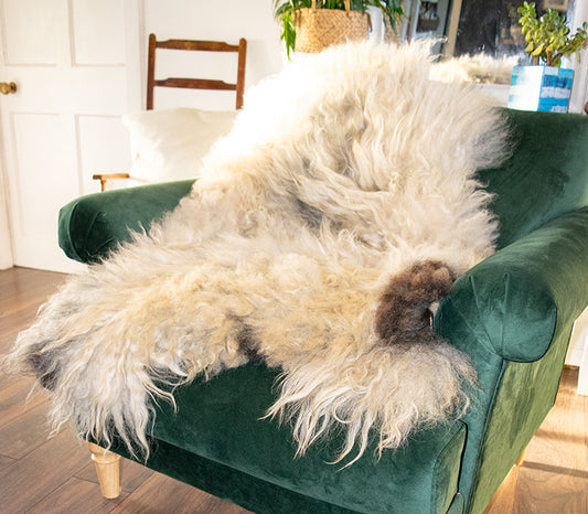 Gotland Extra Large White Sheepskin with Grey and Brown (Kenmore Farms)